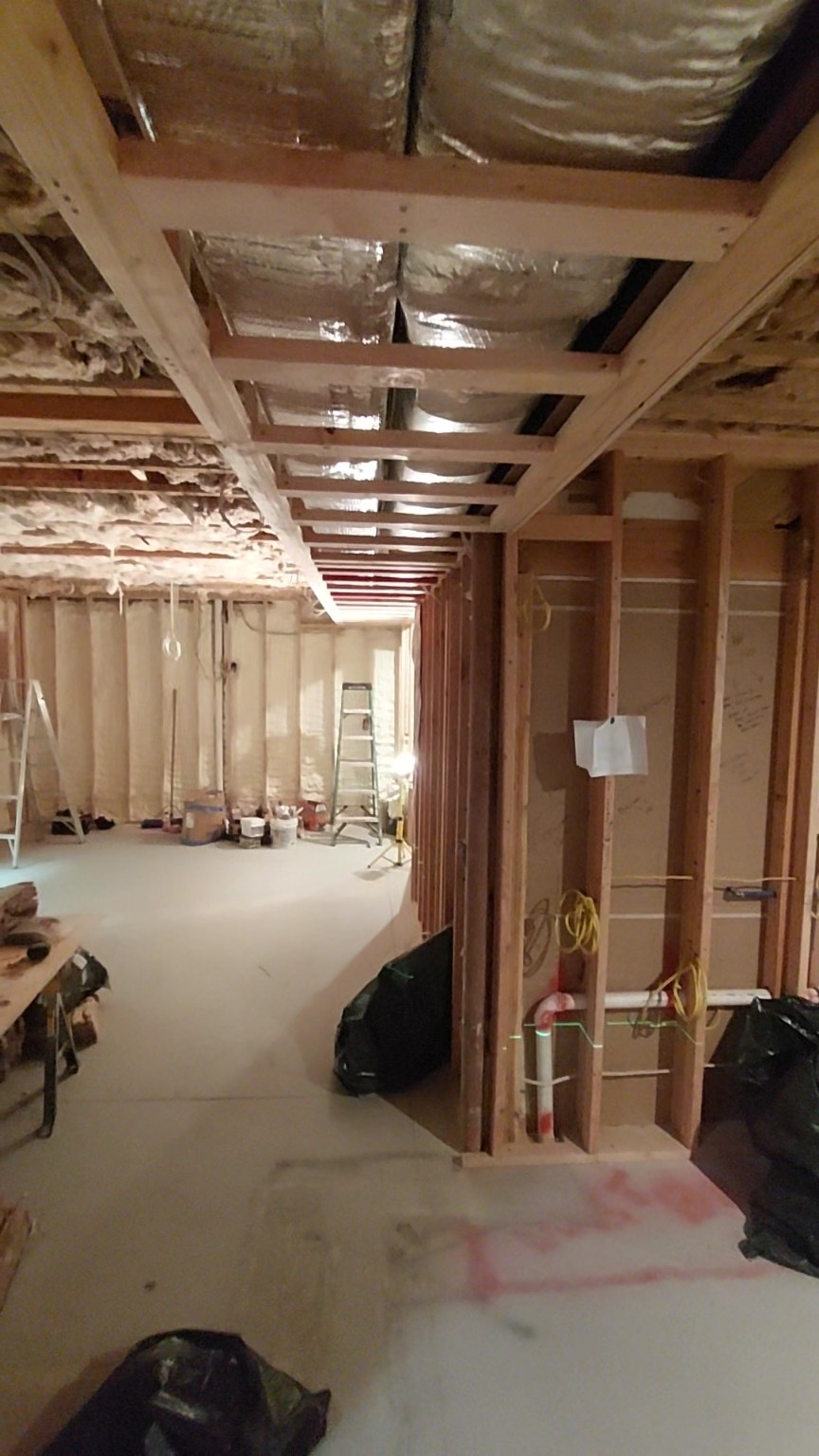 Basement framing during renovation